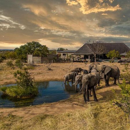 Imagine Africa Luxury Tented Camp Заповедник Балуле Экстерьер фото