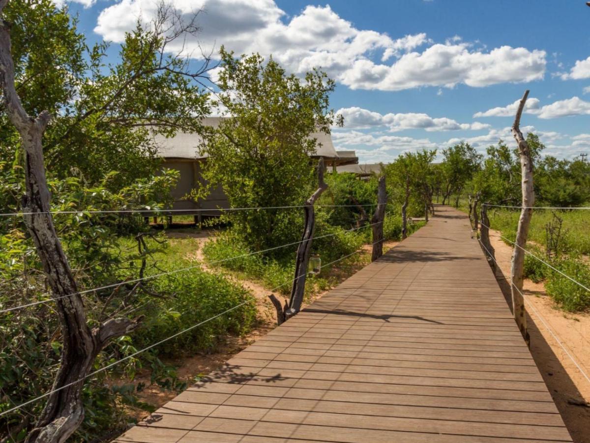 Imagine Africa Luxury Tented Camp Заповедник Балуле Экстерьер фото