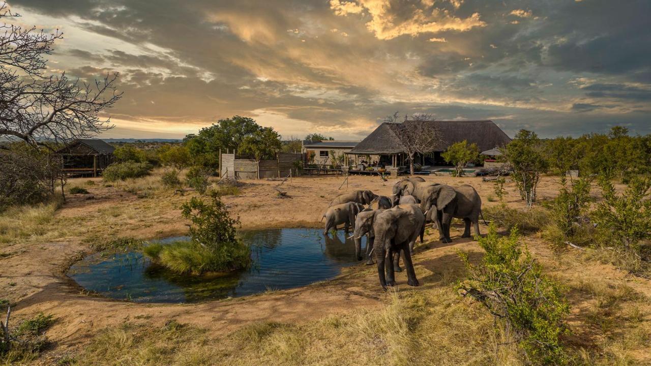 Imagine Africa Luxury Tented Camp Заповедник Балуле Экстерьер фото
