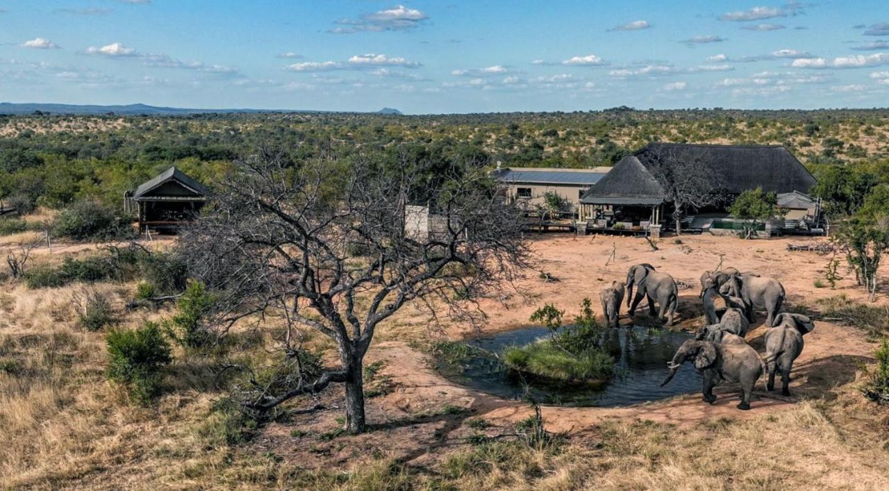 Imagine Africa Luxury Tented Camp Заповедник Балуле Экстерьер фото
