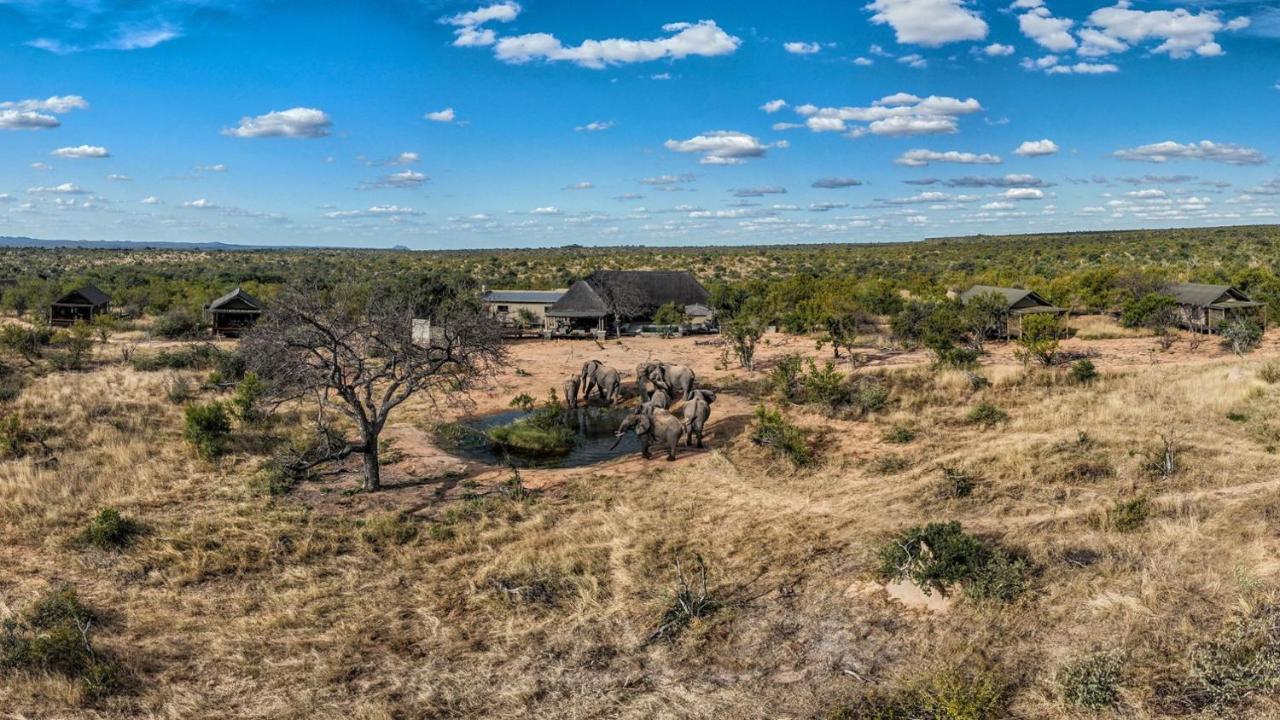 Imagine Africa Luxury Tented Camp Заповедник Балуле Экстерьер фото